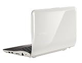 Samsung NF210-A02 10.1-Inch Netbook (Ivory)