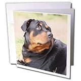 image link - - B002O1ZJCC