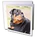 image 39 - Dogs Rottweiler Rottweiler Greeting Cards12 Greeting Cards with