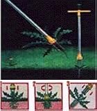 SPEEDY WEEDY
