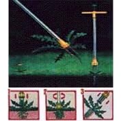 Speedy Weedy