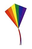 Go Fly A Kite Rainbow 30 Inch Kite