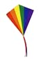 Go Fly A Kite Rainbow 30 Inch Kite
