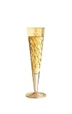 Champagne Glass, Champus, Sea Weeds, Designer Gold and Silver Champagne Flute w/ Napkin in Gift Box