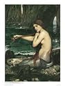 Art Poster Print - Mermaid, A - Artist: John William Waterhouse- Poster Size: 31 X 23