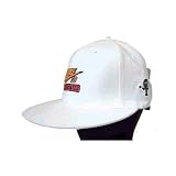 (ナイキ) NIKE Premium SB Apparel Rayguns CAP・White（フレックスフィット）