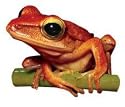 Paper House Productions Red Frog