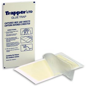 Trapper LTD Mouse/insect Glue Boards - Case (72 Boards)