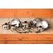 Kitchen & Housewares : Chef's Secret 16-Piece Element Stainless-Steel Cookware Set