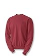 Champion Double Dry&reg; Fleece Men's Sweatshirt # S2226