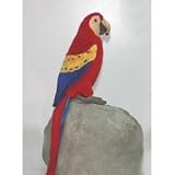 Scarlet Macaw 12