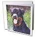 Dogs Rottweiler - Rottweiler - Greeting Cards-12 Greeting Cards with envelopes