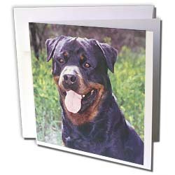 image link -  - B002O1RT1G