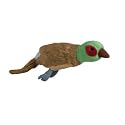 Happy Pet - Medium Plush Migrator Pheasant