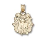 Fresno State Bulldog Head Charm/Pendant