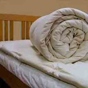 GoodNight Home Wool and Organic Cotton 3in Mattress Pad - Queen