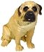 Mastiff