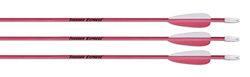 Carbon express 52014 thunder express, fletched fiberglass arrow w…