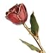Long Stem Dipped 24K Gold Trim Cinnamon Pearl Lacquered Genuine Rose w/ Gift Box