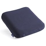 Inflatable Travel Seat and Back