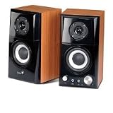 14 Watt Wood Speaker