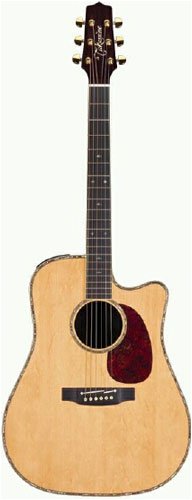 Childrens Toyshop  Musical Instruments : Takamine TNV360SC Nashville Dreadnought Cutaway Acoustic-Electric Guitar