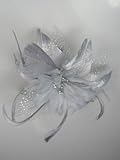 Pretty Cool - Grey Flower & Feather Comb Fascinator