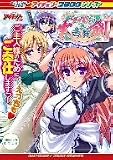 メイドさんと大きな剣DVDPG