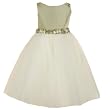 Little Girls Special Occasion SAGE TULLE Flower Girl Dress KIDS DREAM 2-12