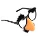 Groucho Marx Glasses
