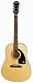 Epiphone AJ-100 Jumbo Acoustic Guitar, Natural