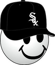Chicago White Sox Baseball Cap Antenna Topper