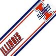 Univ. Illinois Fighting Illini - Wallpaper Border