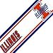 Univ. Illinois Fighting Illini - Wallpaper Border