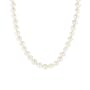 14k Yellow Gold 8.5-9mm White Freshwater Cultured AA Quality Pearl Necklace, 30"