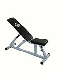 FoxHunter Heavy Duty Positions Adjustable Flat Incline Home Gym Utility Dumbell Weight Fitness Workout Bench Max Capacity 200kg Powder Coated Steel Frame