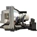 DataStor Replacement Lamp. REPLACEMENT LAMP FOR OEM OPTOMA BL-FP230C PJ-LMP. 230 W Projector Lamp - SHP - 2000 Hour Normal