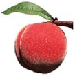 peach flavor powder