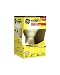 Indoor Floodlight Incandescent Bulb with Reflector, 65 Watts, 120 Volt GEL26805