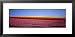 Field of Flowers, Near Encinitas, California, USA Scenic Framed Art Poster Print by Panoramic Images, 31x15