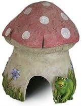 Mushroom Toad House