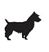 Terrier Dog Pet Australian Terrier Car Truck Vehicle Bumper Helmet Decal Sticker Wall Art Laptop Design Skin Stickers