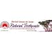 Herbal Toothpaste - Creme de Anise, 6 oz