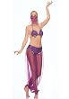 3PC Belly Dancer Sexy Holiday Party Costume
