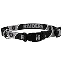 Oakland Raiders Adjustable Pet Dog Collar (Small)