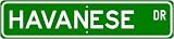 Havanese STREET SIGN ~ High Quality Aluminum ~ Dog Lover