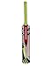 Gray Nicolls Powerbow Dasher Kashmir Willow Cricket Bat RS.1701.00