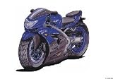 Review The Moneyman  / KAWASAKI ZX9R KOOLART image CERAMIC MUG 791