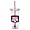 Texas A&M Aggies