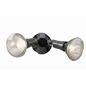 Cooper Lighting PWT250PC 300W Plastic Twin Head PAR Dusk to Dawn Floodlight, Bronze by